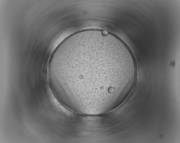 X0000113611290200910021756