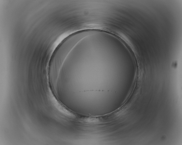 X0000113611291200910021756