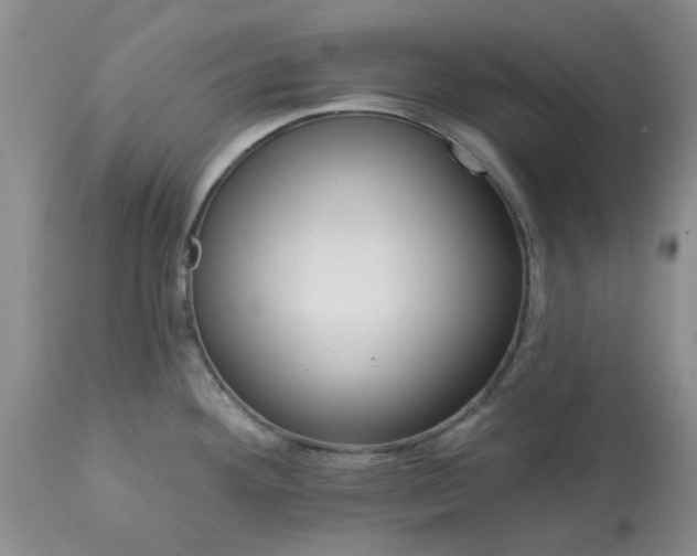 X0000113611292200910021756