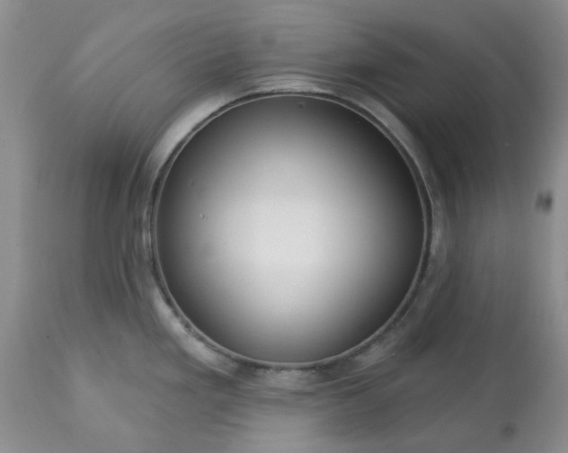 X0000113611293200910021756