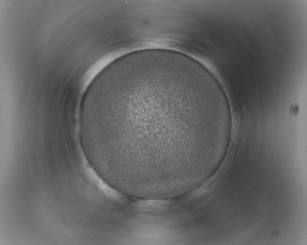 X0000113611294200910021756