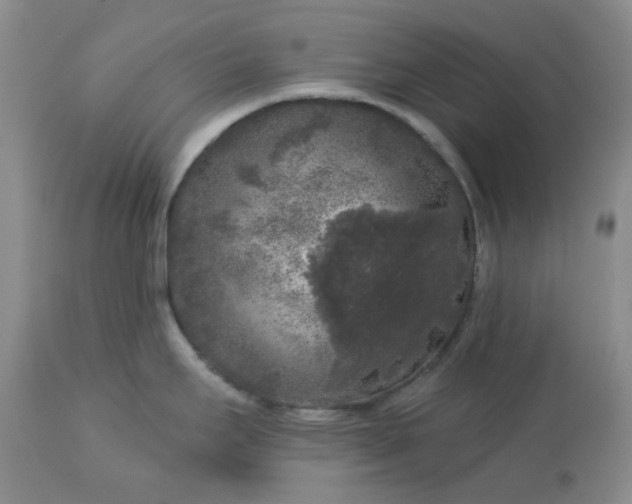 X0000113611295200910021756