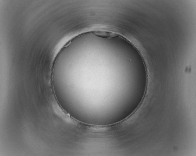 X0000113611296200910021756