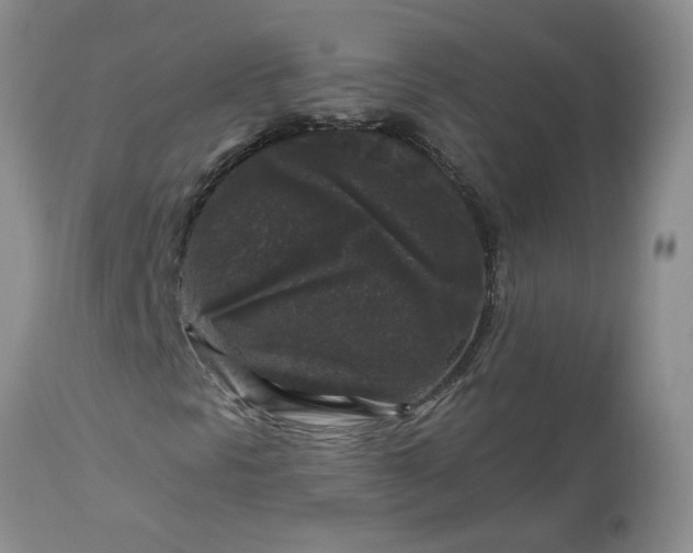 X0000113611297200910021755