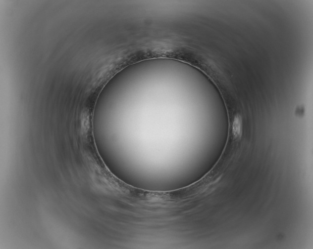 X0000113611299200910021755