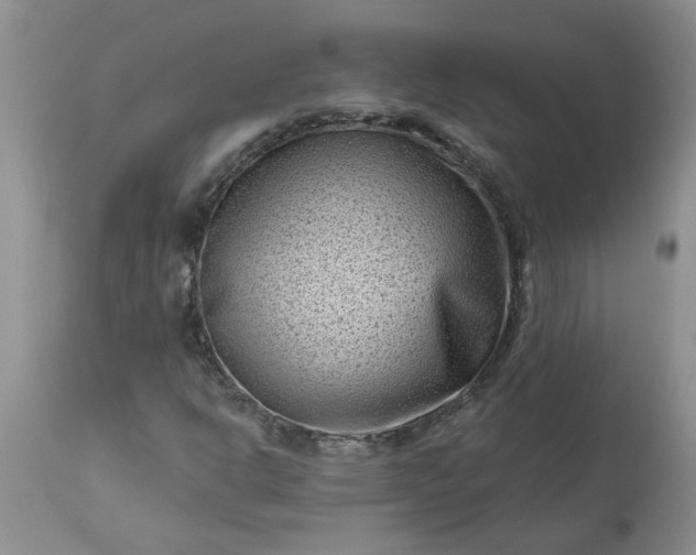 X0000113611302200910021755