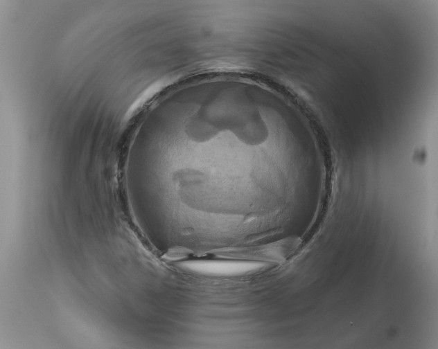 X0000113611306200910021755