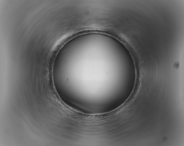 X0000113611307200910021755