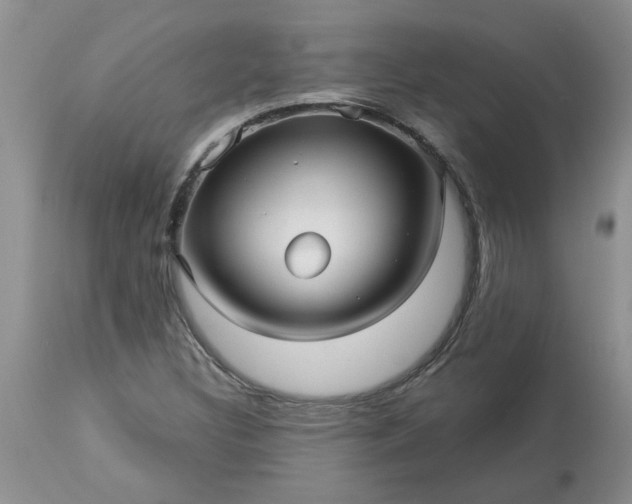 X0000113611308200910021755