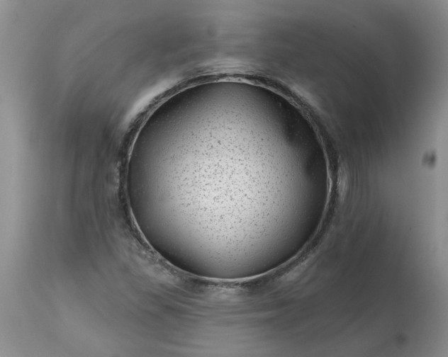 X0000113611309200910021755