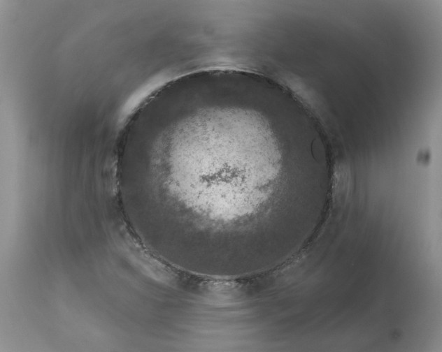 X0000113611310200910021755