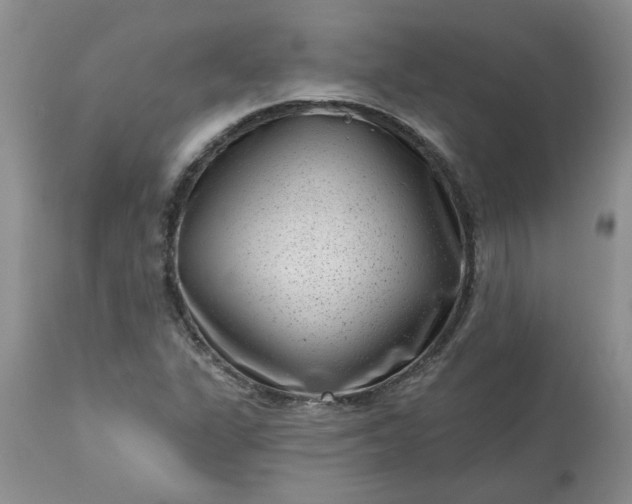 X0000113611311200910021755