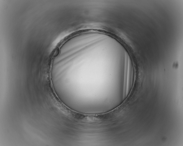 X0000113611312200910021755