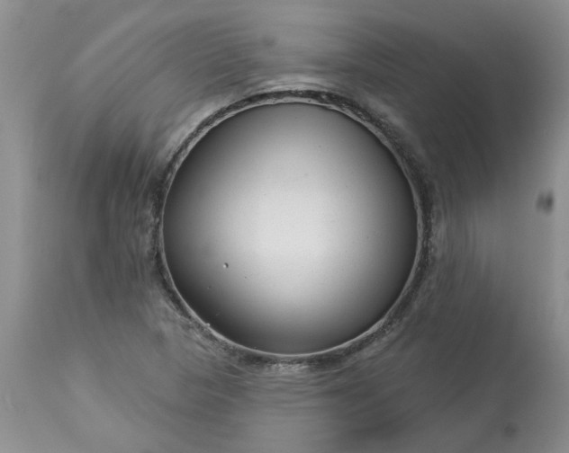 X0000113611313200910021755