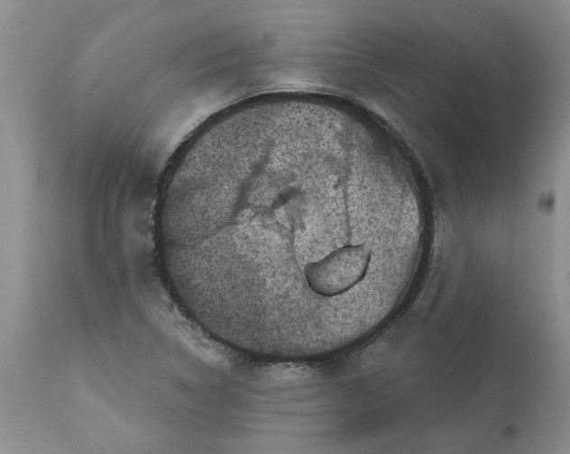 X0000113611314200910021755