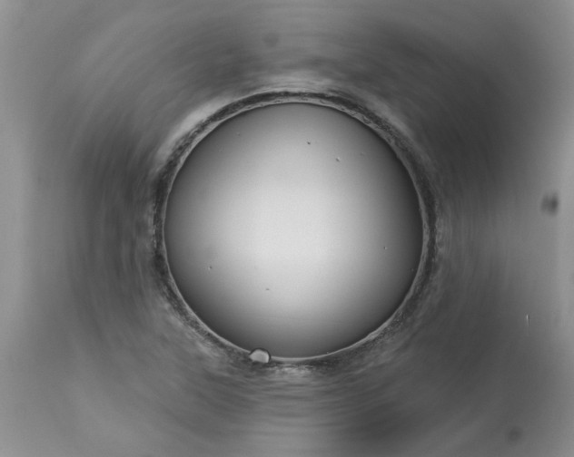 X0000113611315200910021755