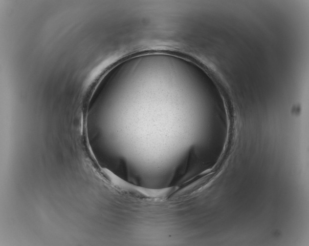 X0000113611317200910021755