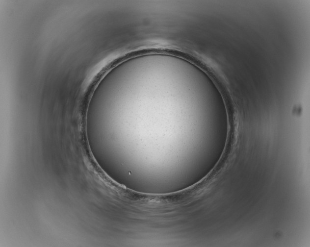 X0000113611318200910021755