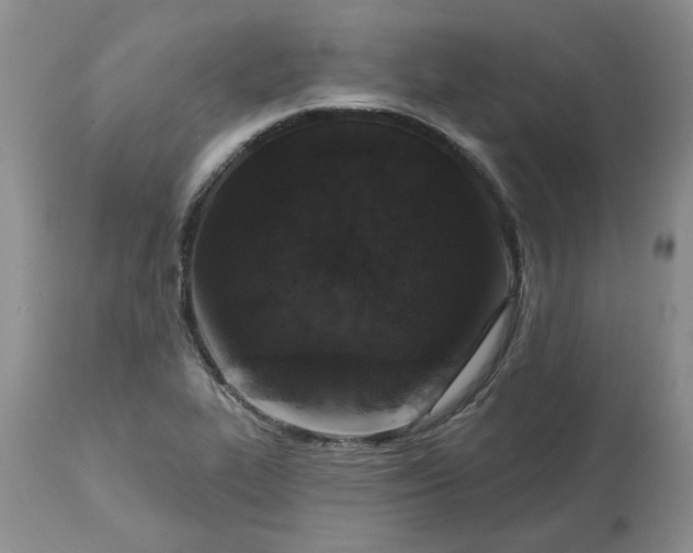 X0000113611319200910021755