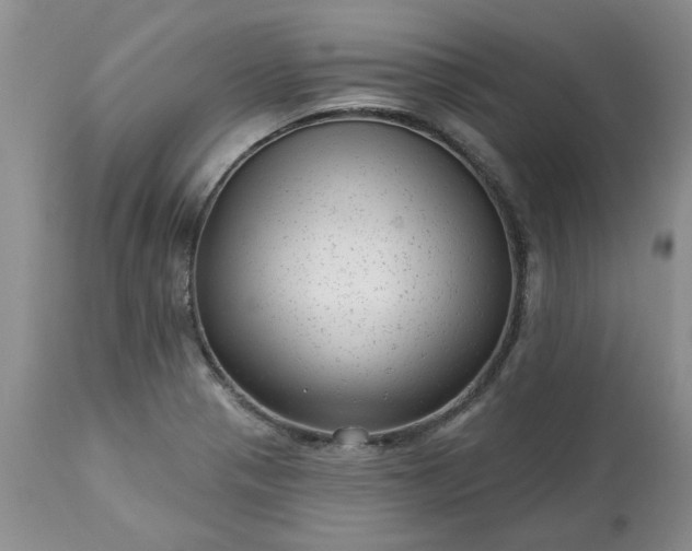 X0000113611321200910021755