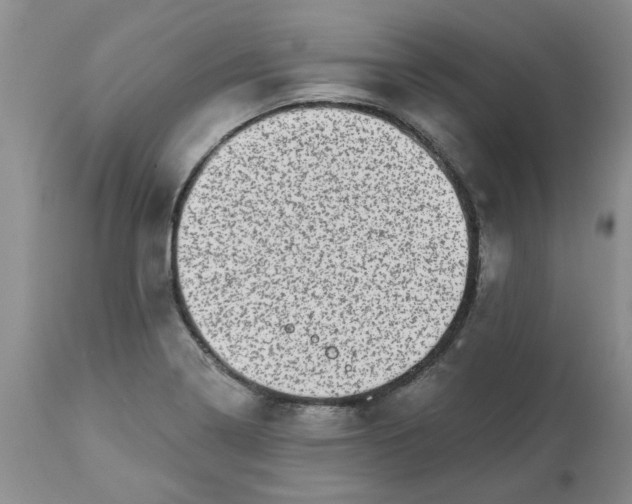 X0000113611322200910021755