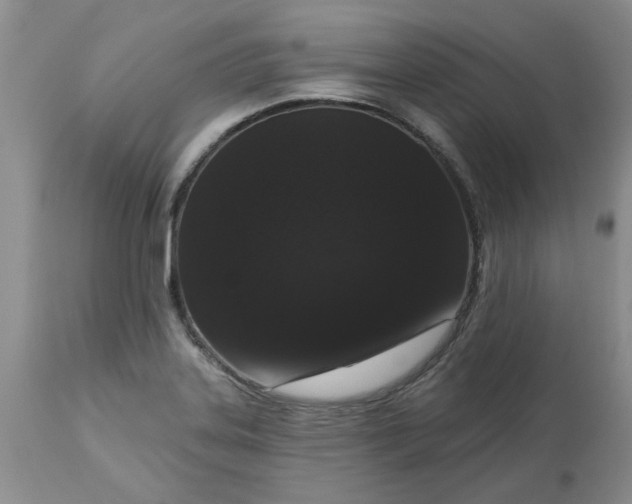 X0000113611323200910021755