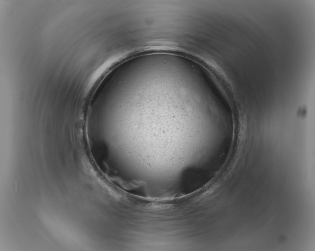 X0000113611325200910021755