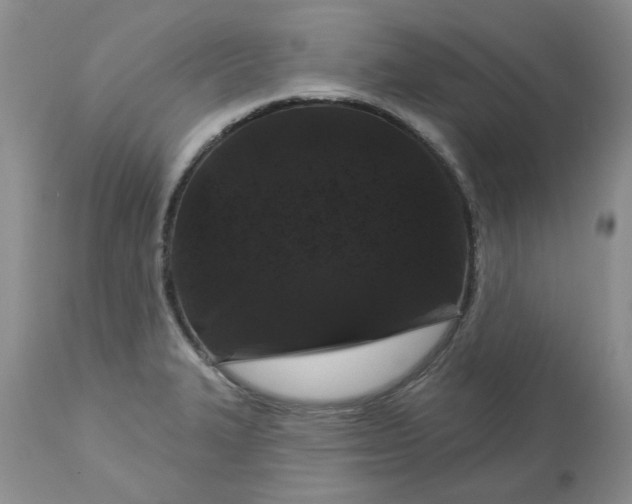 X0000113611327200910021755