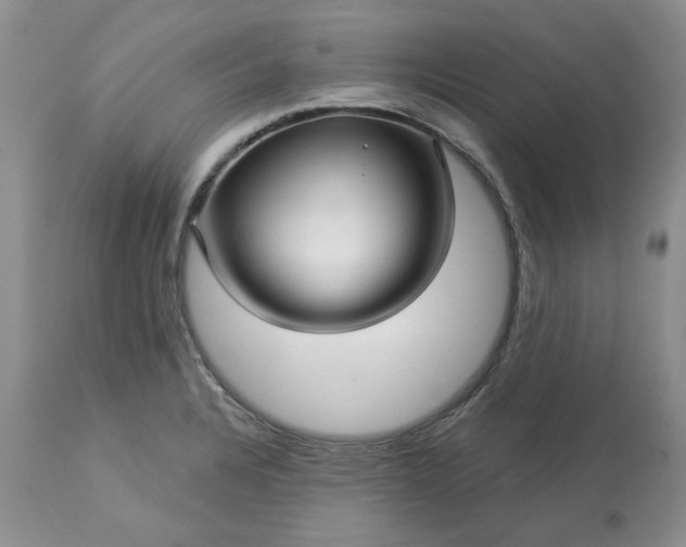 X0000113611328200910021755