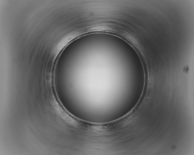 X0000113611330200910021755