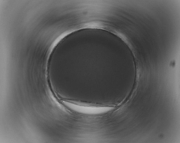 X0000113611331200910021755