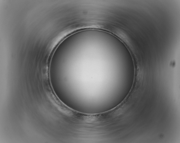 X0000113611332200910021755