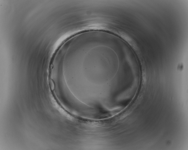 X0000113611334200910021755