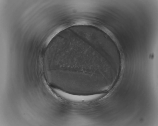 X0000113611337200910021755