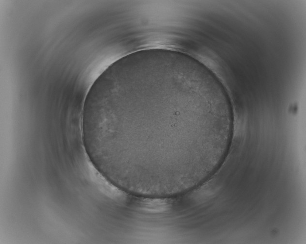 X0000113611338200910021755