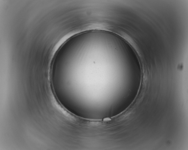 X0000113611339200910021755