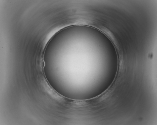 X0000113611340200910021756