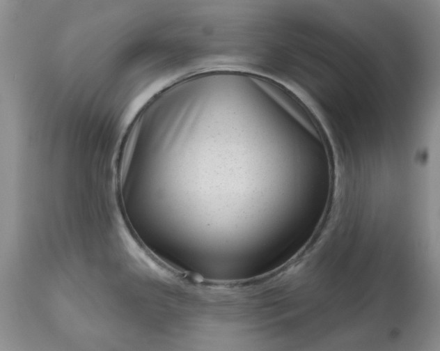 X0000113611341200910021756