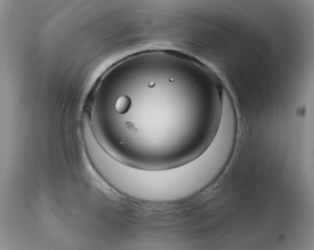 X0000113611342200910021756