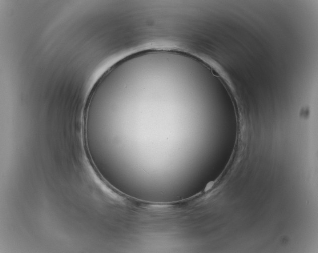 X0000113611343200910021756