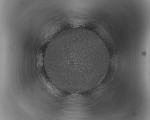 X0000113611346200910021755