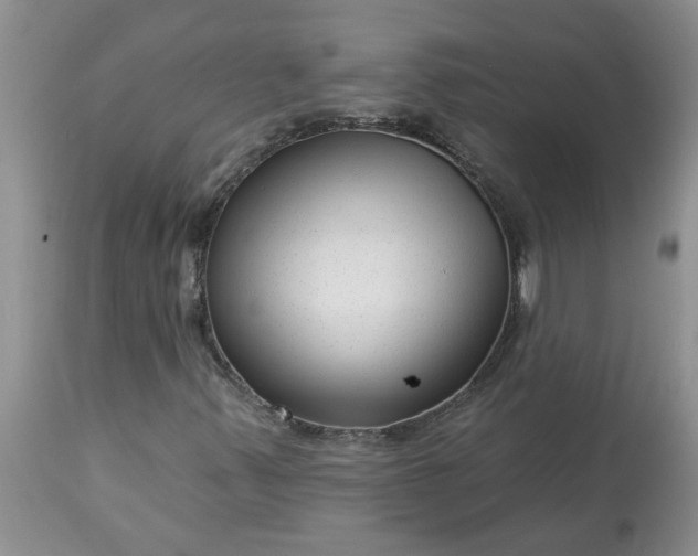 X0000113611347200910021755