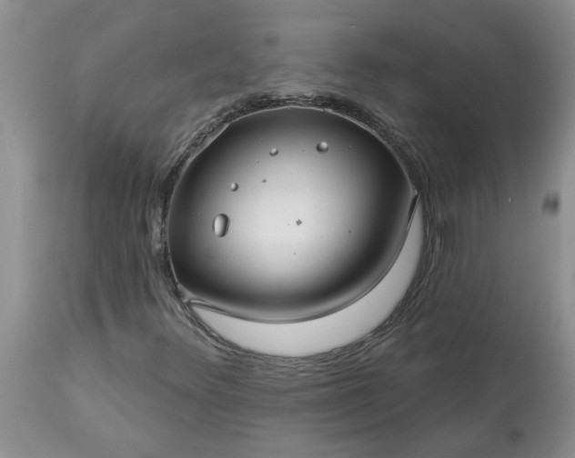 X0000113611348200910021755