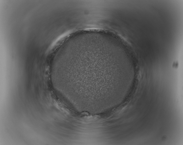 X0000113611351200910021755