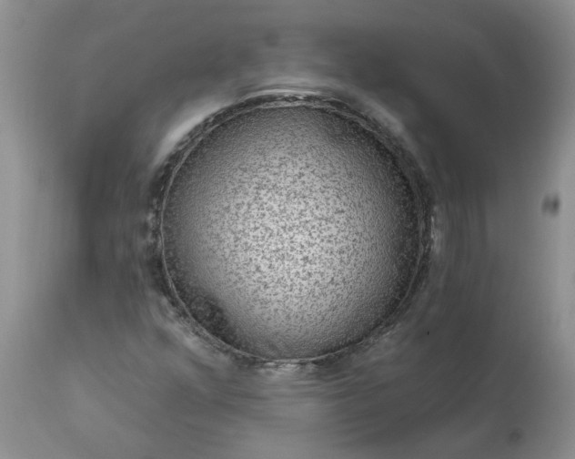 X0000113611352200910021755