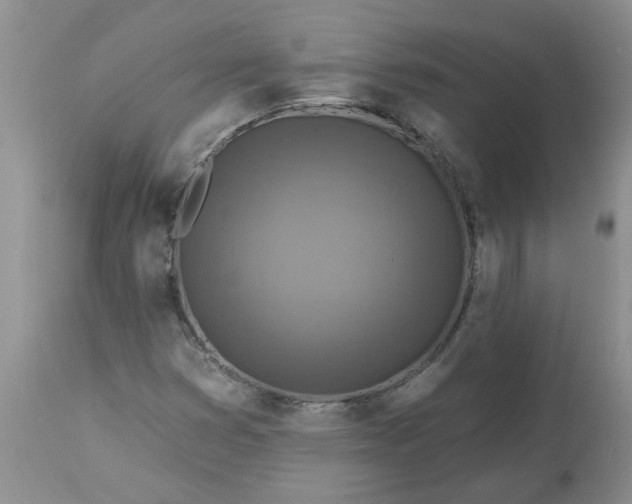 X0000113611353200910021755