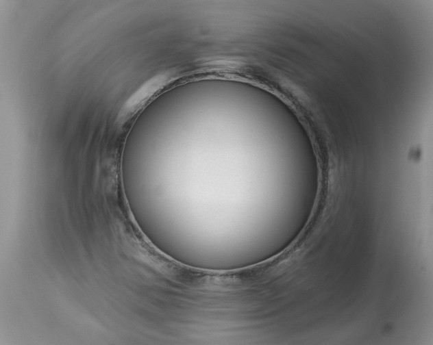 X0000113611354200910021755