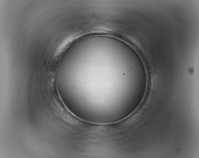 X0000113611355200910021755