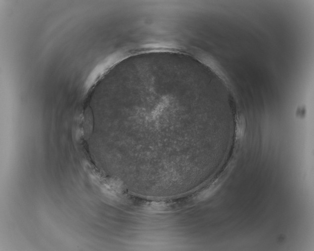 X0000113611357200910021755