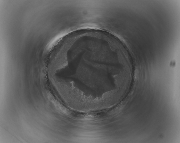 X0000113611359200910021755